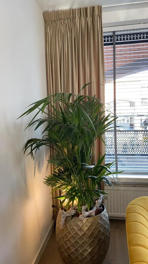 Wavegordijnen als maatwerkuitvoering binnen de RAAMFIT-collectie